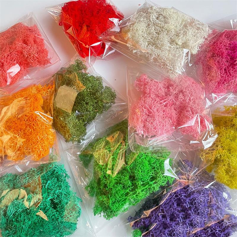 Sphagnum Moss Dry - 20-200g Kunstmatige Groene Planten Polyester Mosgras