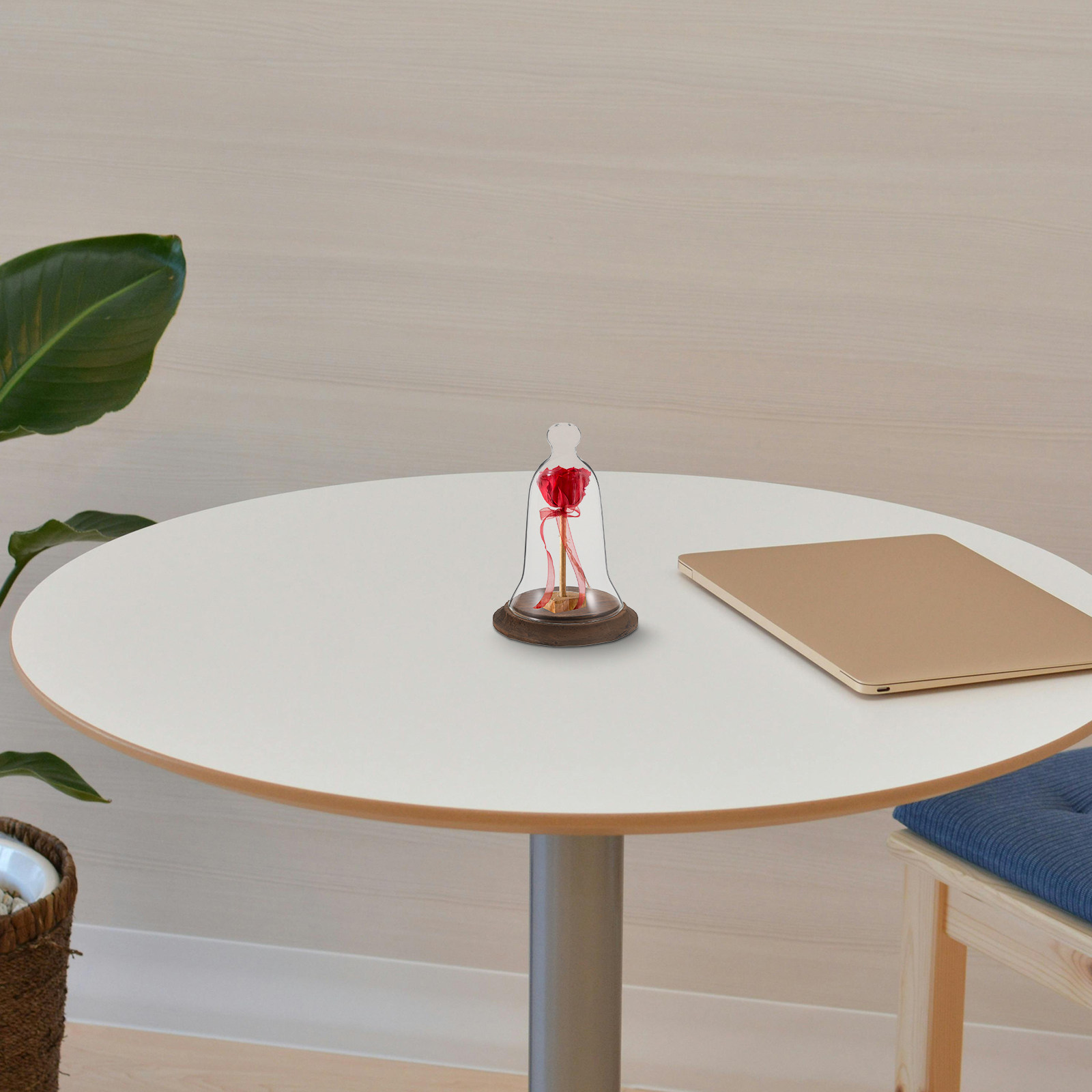 Plastic Dome Clear - Glazen stolp displaykap van hoog borosilicaat