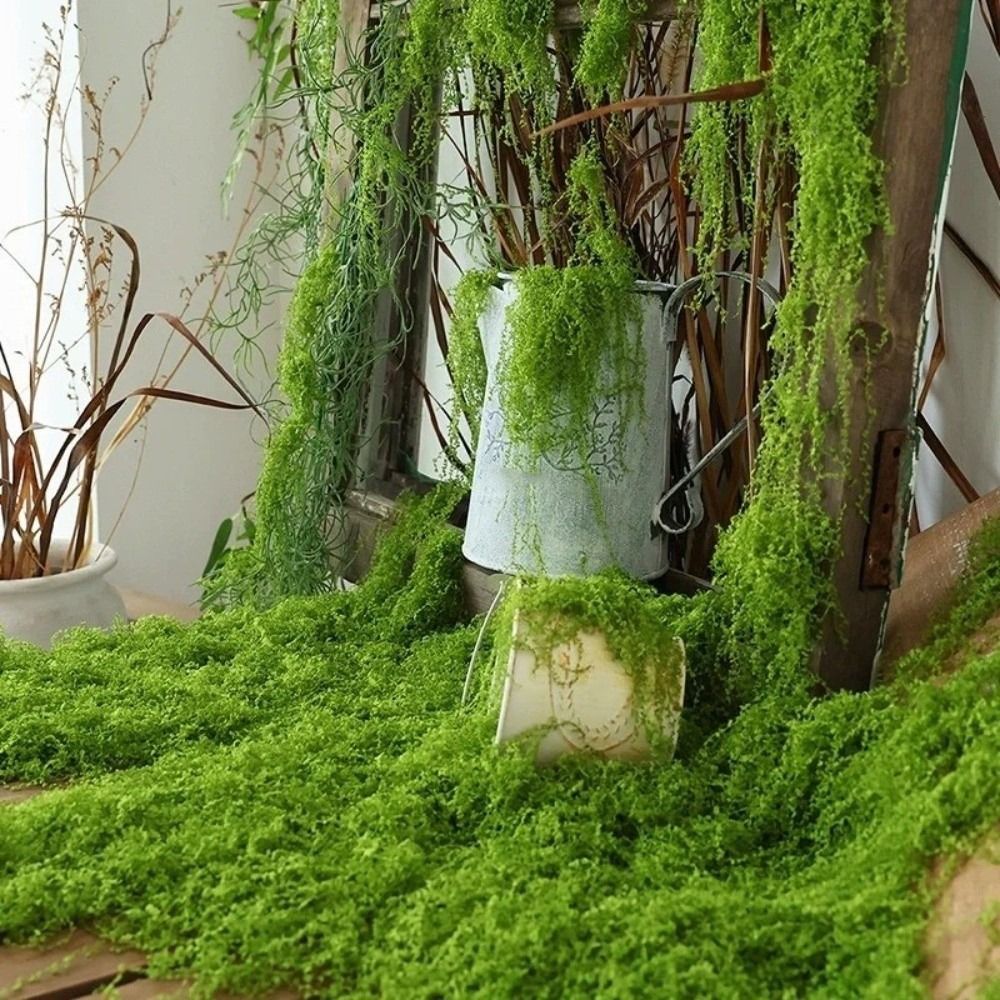 Sphagnum Moss Dry - DIY Kunstgras Tapijt Duurzaam Geen Bewatering