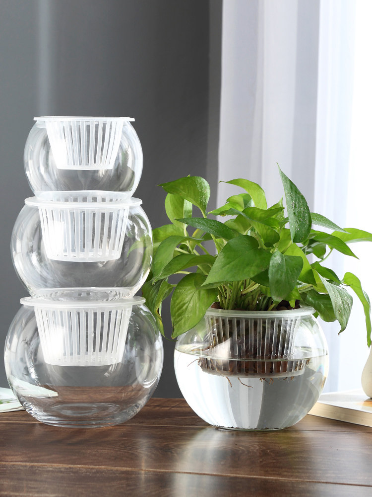 Propagation Station Vase - Hydroponische glazen vaas, glazen groene dille
