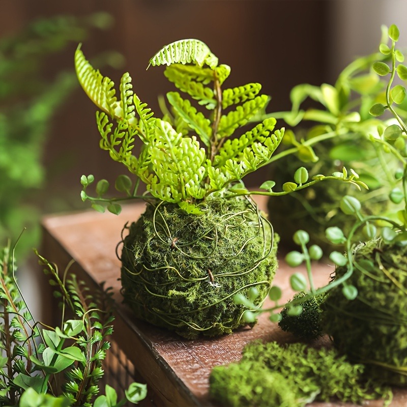 Kunstmatige mosbal plantenbak, - Sphagnum Moss Dry recensie en prijs