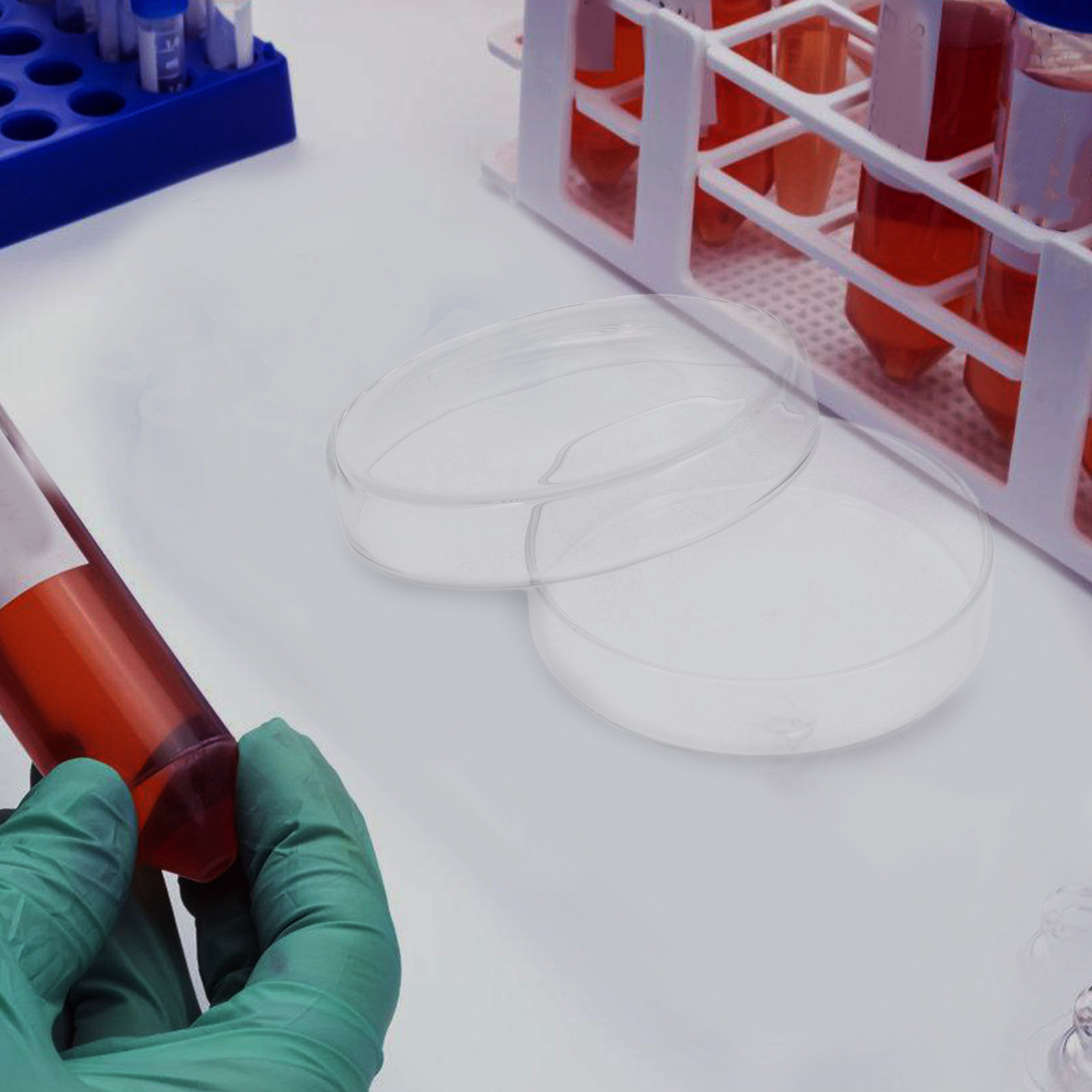 Petrischaal van hoog borosilic - Agar Tissue Culture recensie en prijs