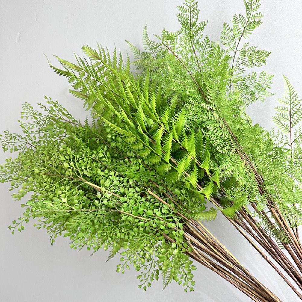 Realistische kunstmatige varen - Sphagnum Moss Dry recensie en prijs