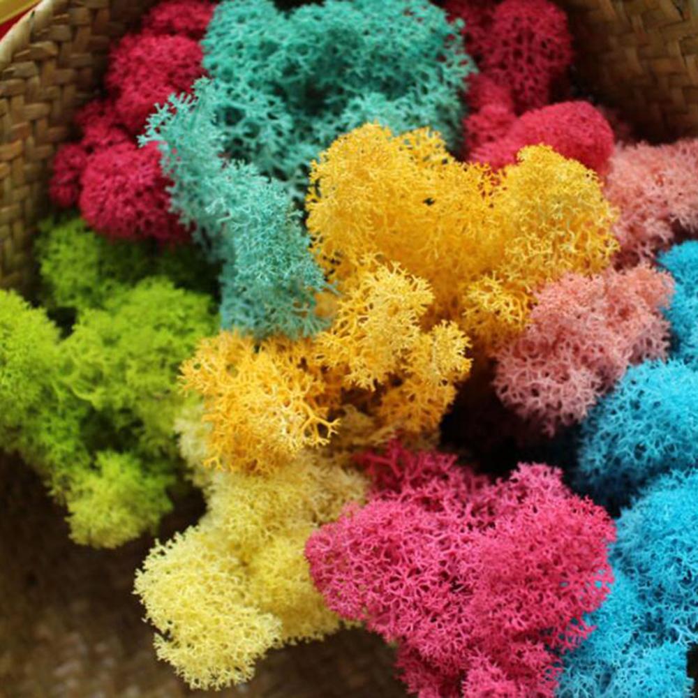 Kunstmatige Plant Eeuwige Leve - Sphagnum Moss Dry recensie en prijs