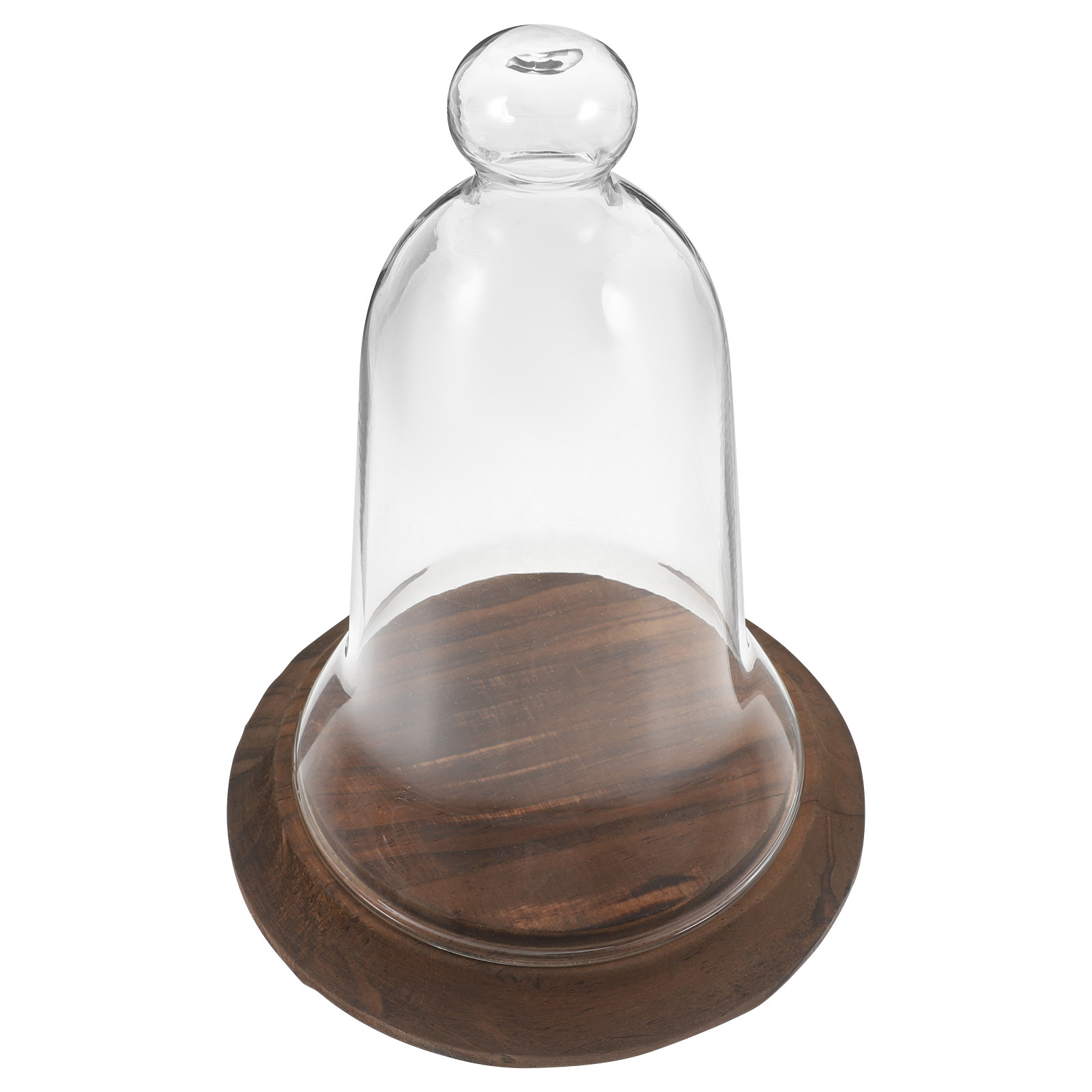 Glazen stolp displaykap van ho - Plastic Dome Clear recensie en prijs