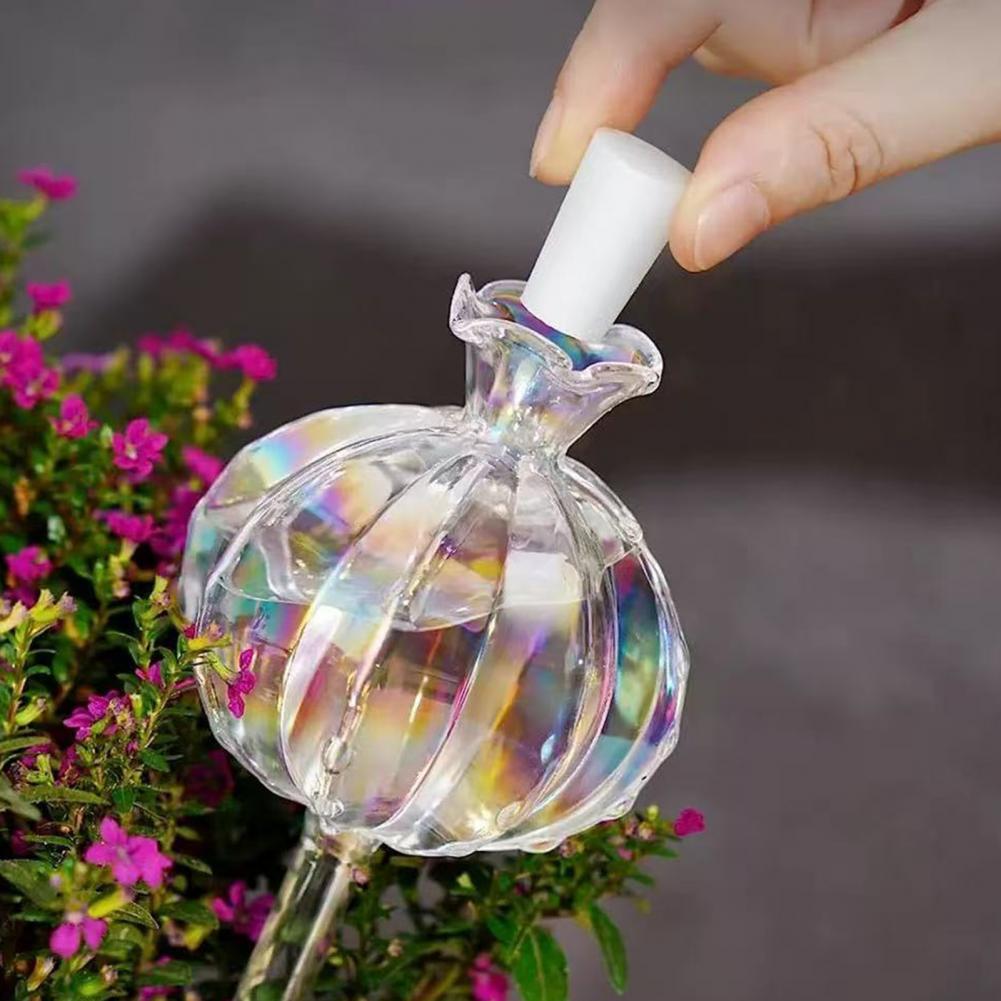 24 Cm Cactus Zelf Watering Bol - Self Watering Insert recensie en prijs