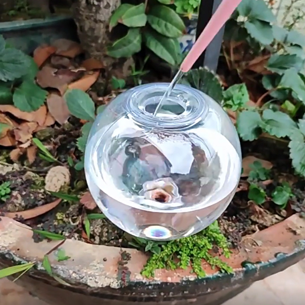 500ML Zelfwatergevende Globes  - Self Watering Insert recensie en prijs