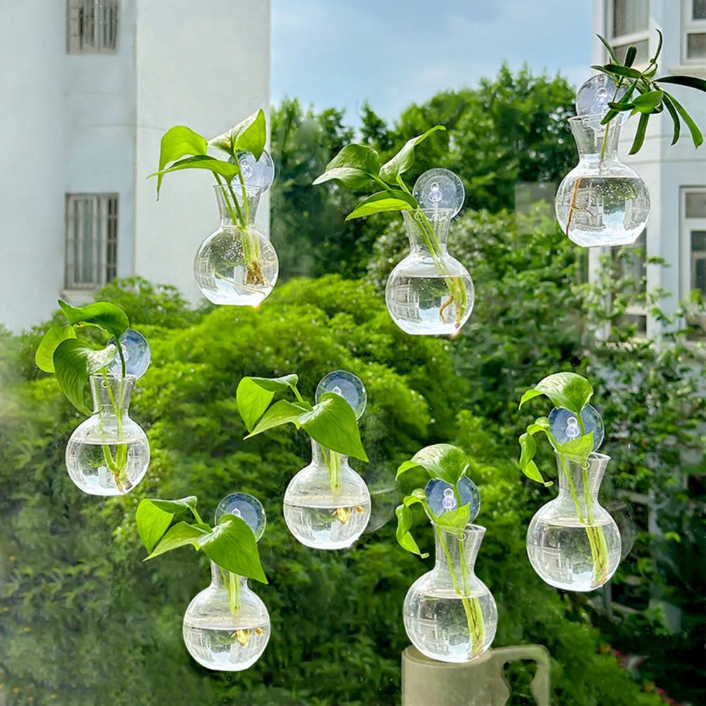 1/2/3/4/6/8 Stuks Plantenvoort - Propagation Station Vase recensie en prijs