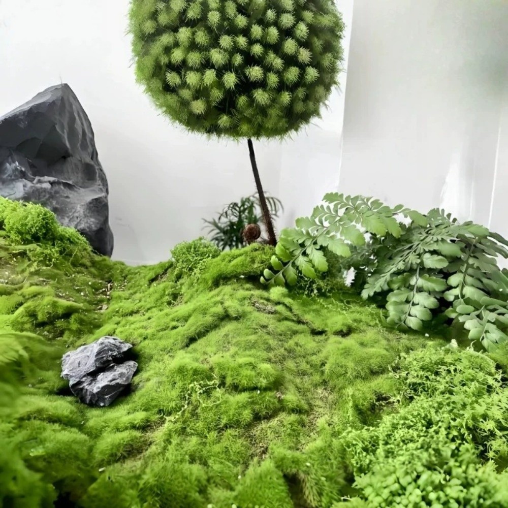 DIY Kunstgras Tapijt Duurzaam  - Sphagnum Moss Dry recensie en prijs