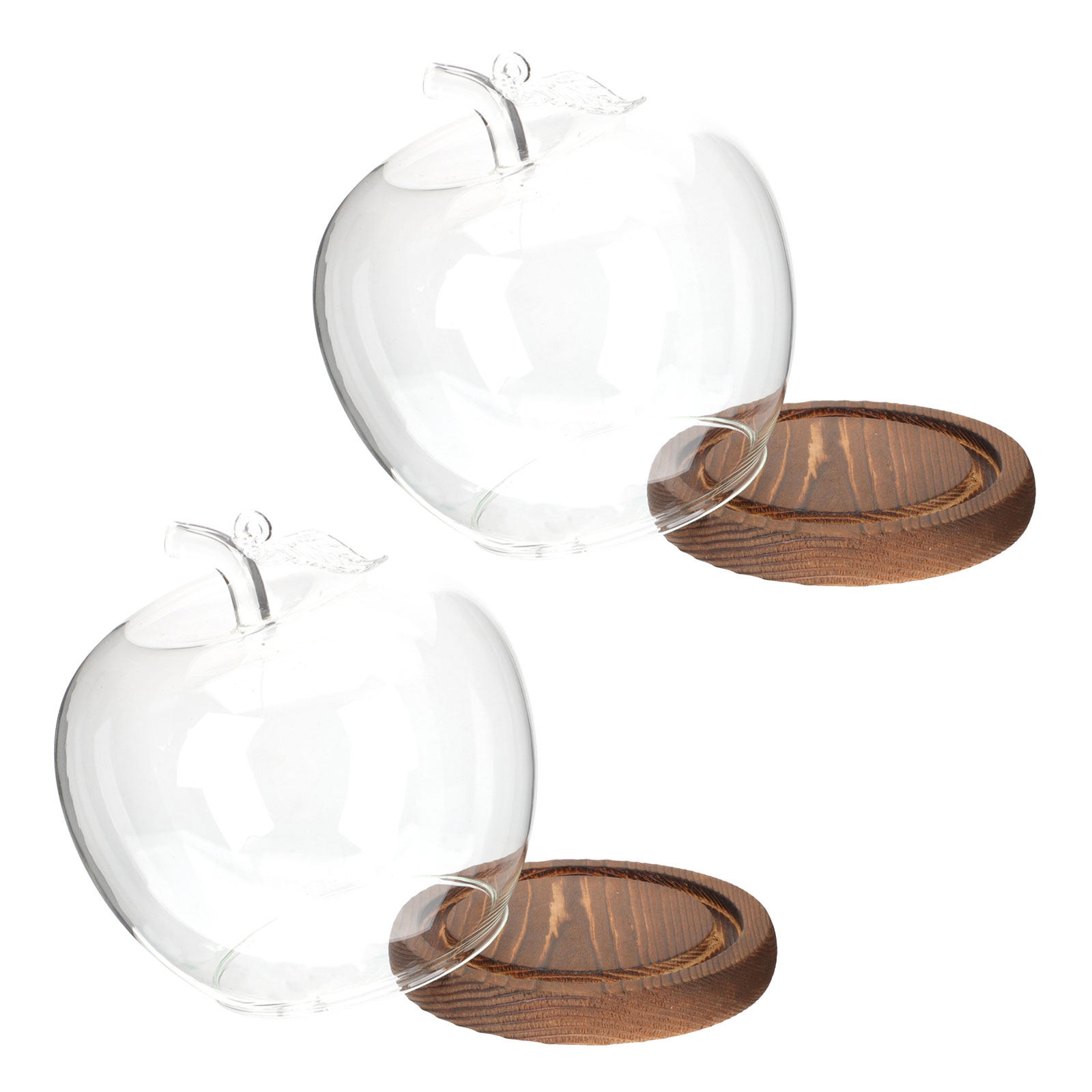 2 stuks glazen stolp met houte - Plastic Dome Clear recensie en prijs