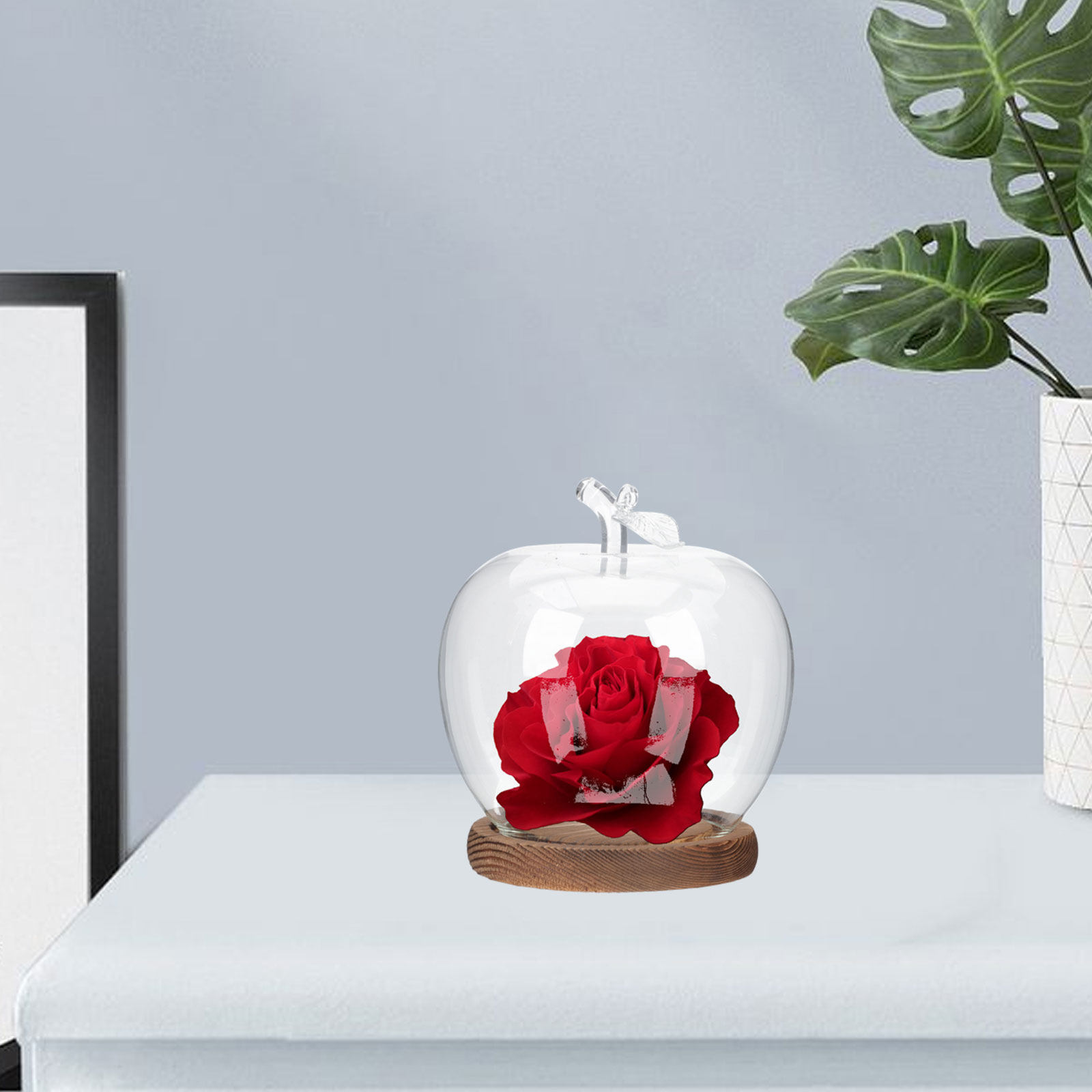 2 stuks glazen stolp met houte - Plastic Dome Clear recensie en prijs
