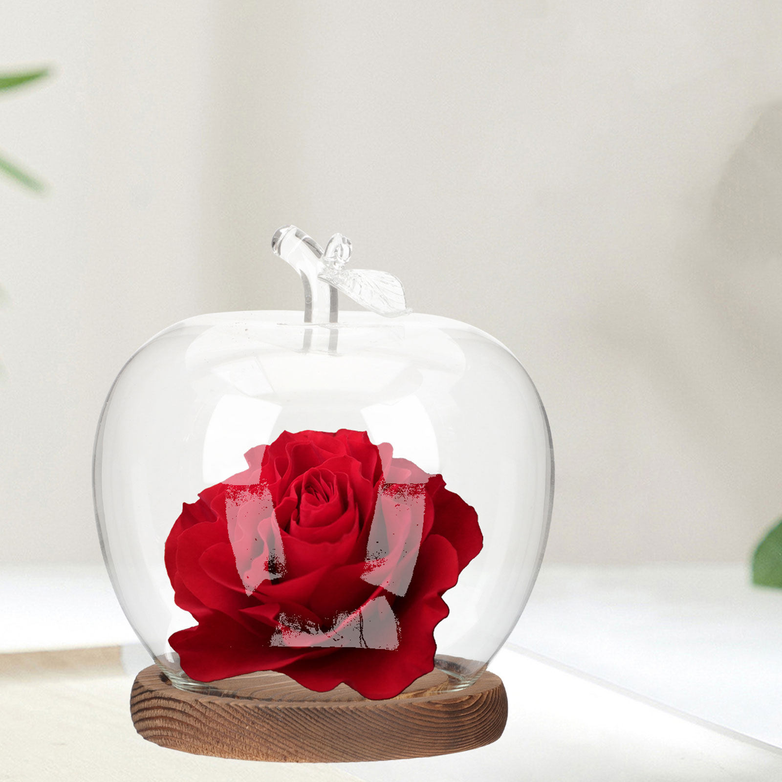 2 stuks glazen stolp met houte - Plastic Dome Clear recensie en prijs
