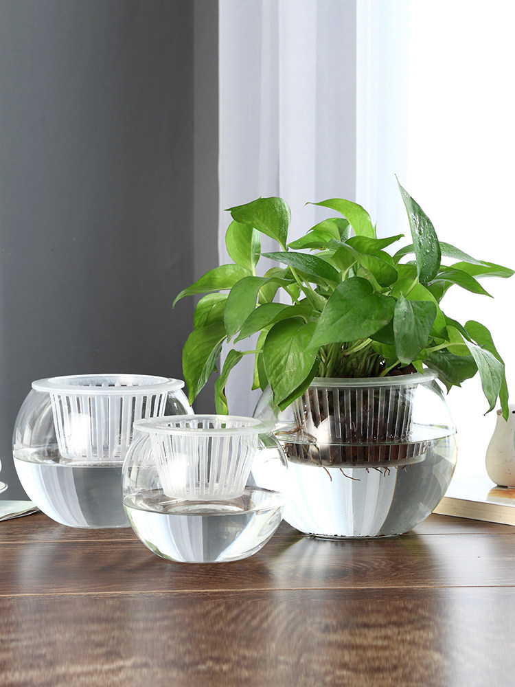 Hydroponische glazen vaas, gla - Propagation Station Vase recensie en prijs