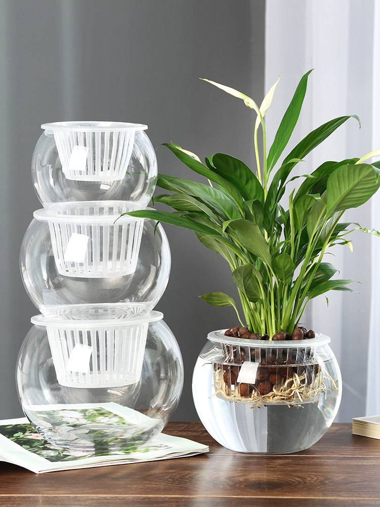 Hydroponische glazen vaas, gla - Propagation Station Vase recensie en prijs